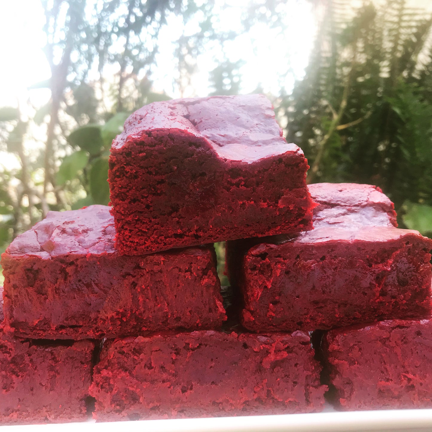 GLUTEN-FREE BROWNIES