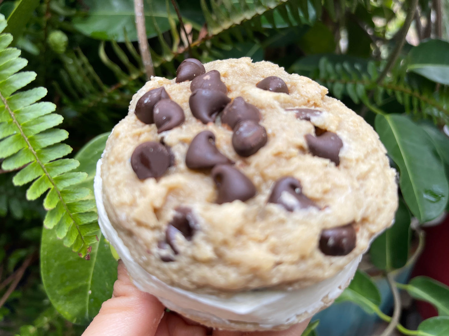 GLUTEN-FREE SANDWICH CREME COOKIES