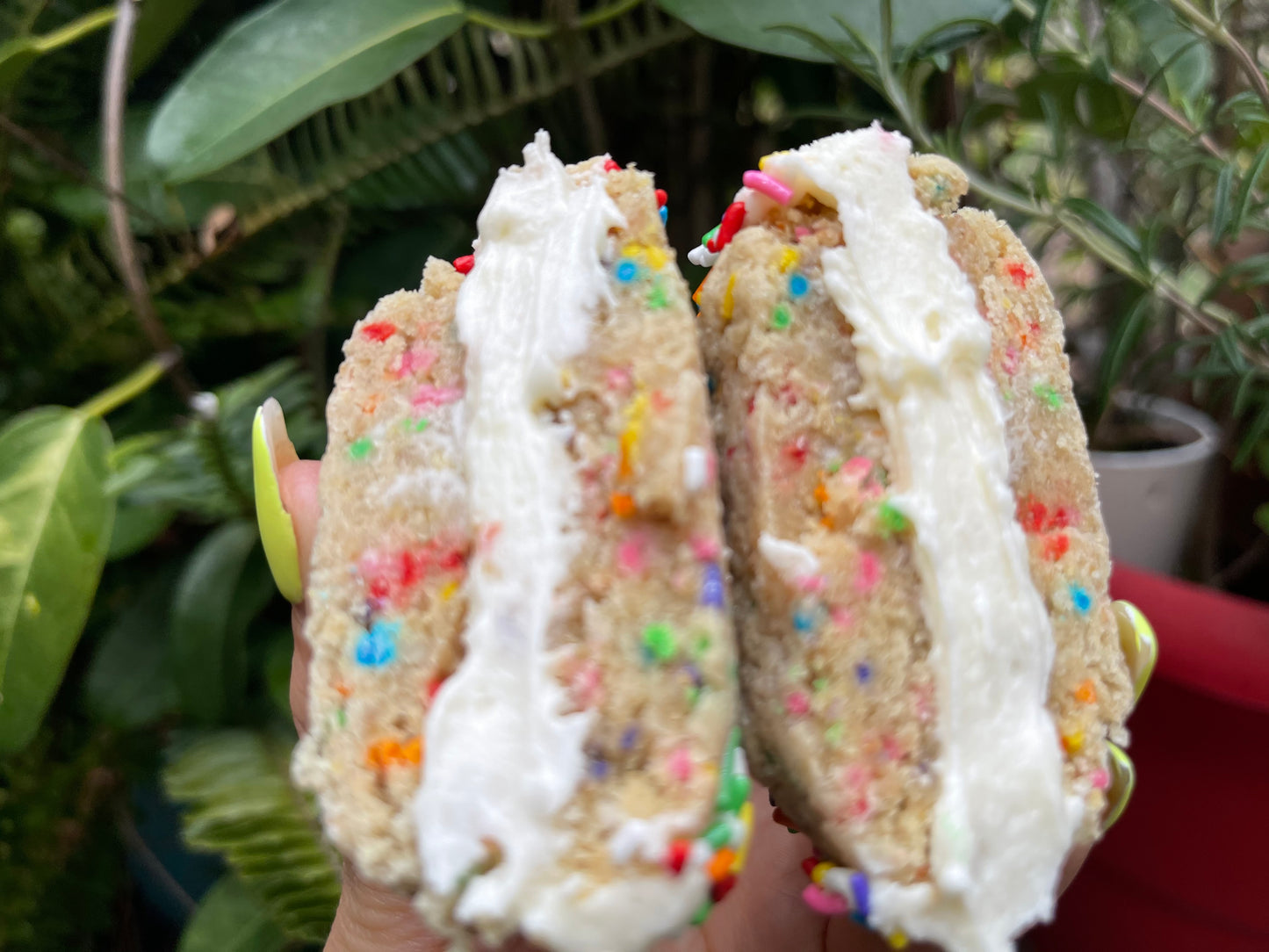 GLUTEN-FREE SANDWICH CREME COOKIES