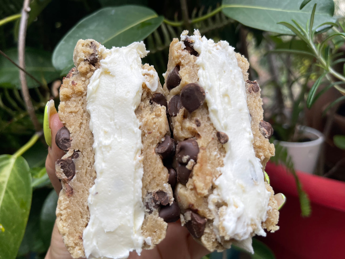 SANDWICH CREME COOKIES