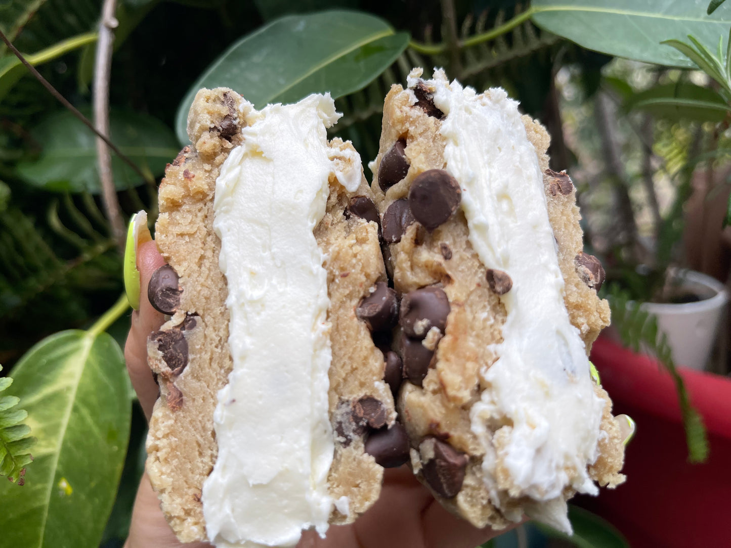 GLUTEN-FREE SANDWICH CREME COOKIES