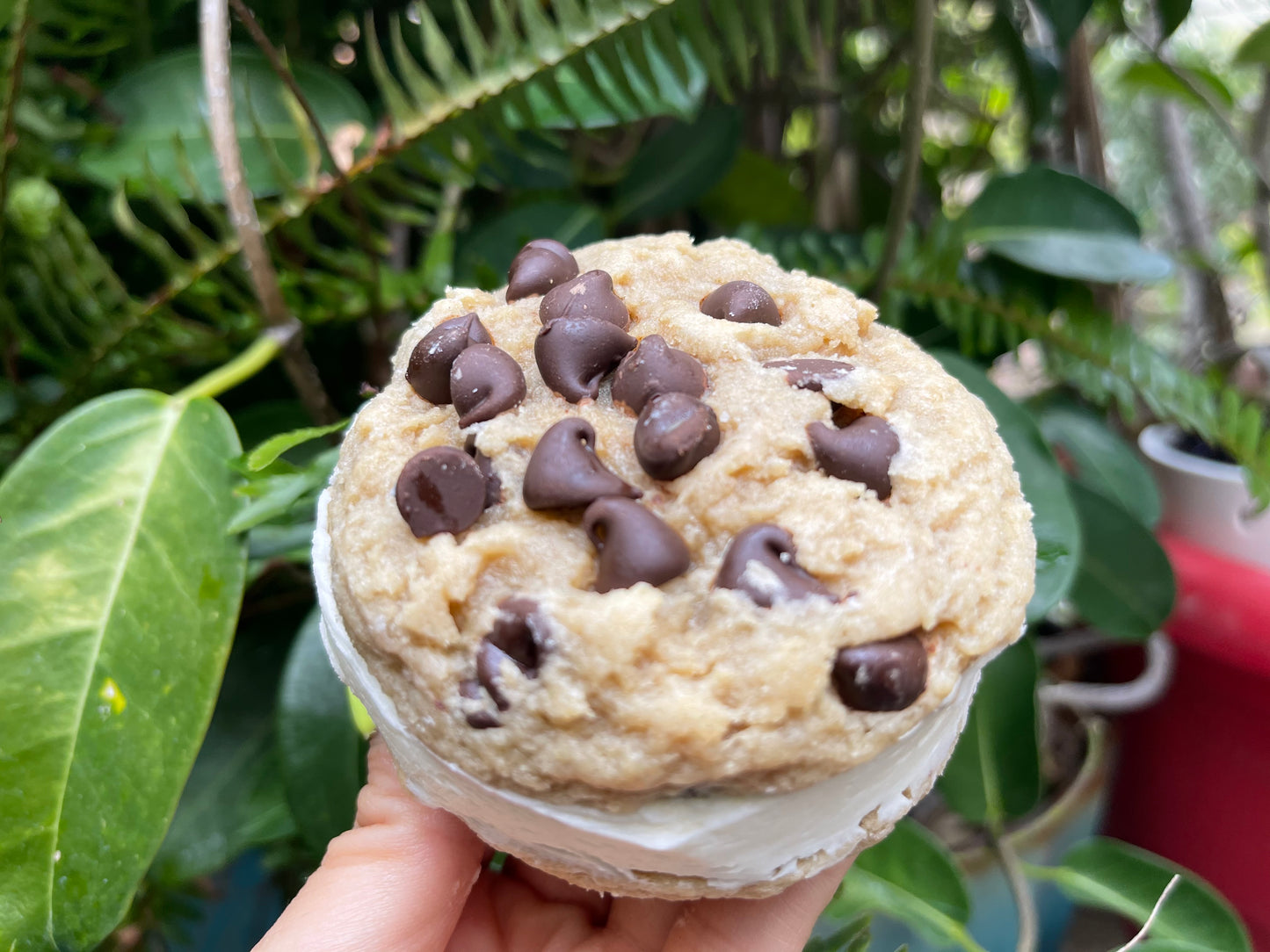 SANDWICH CREME COOKIES