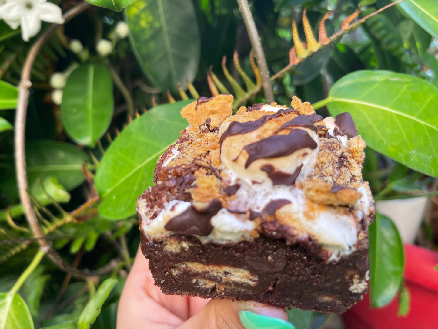 GLUTEN-FREE BROWNIES