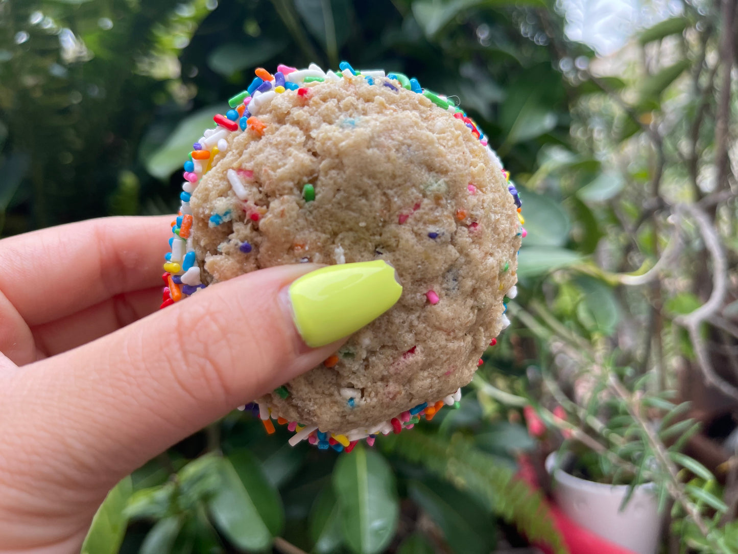 GLUTEN-FREE SANDWICH CREME COOKIES