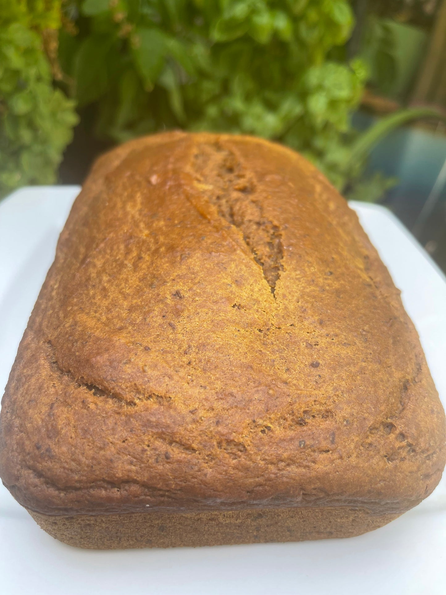 GLUTEN-FREE SWEET BREADS